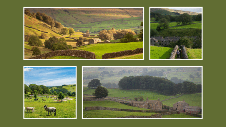 Yorkshire Farm