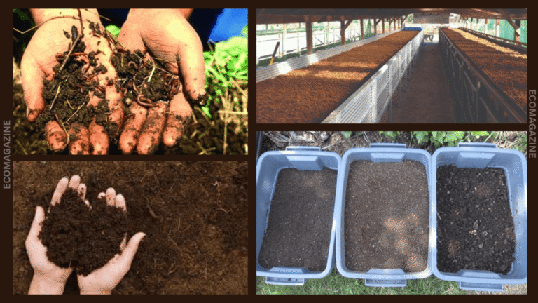 Advantages Of Vermicomposting