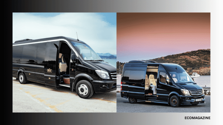 Minibus Transfes