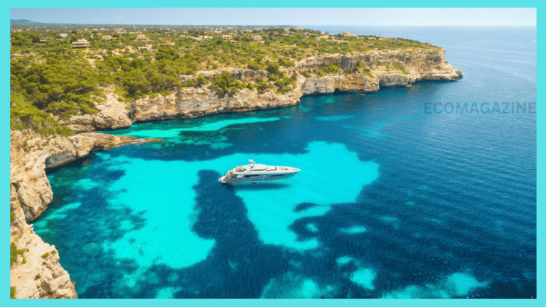 Travels Concierge in Mallorca