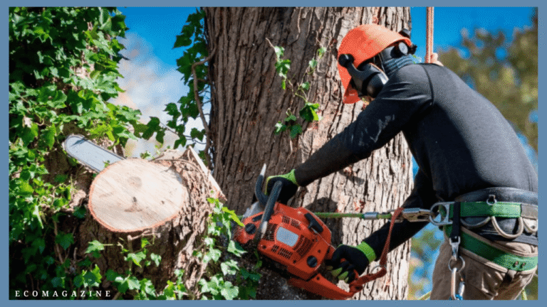 Proper Pruning