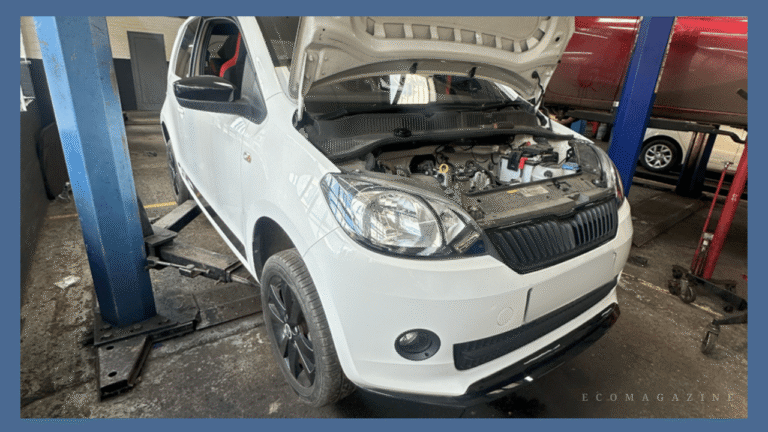 Service and MOT