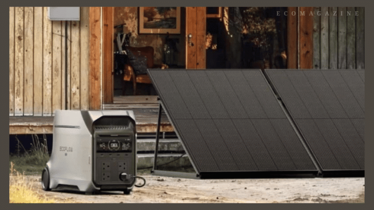 A Portable Power Station