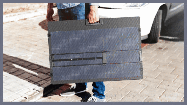 Clean Solar Panels Safely