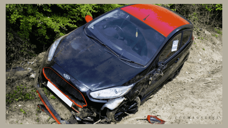 Document a Road Accident