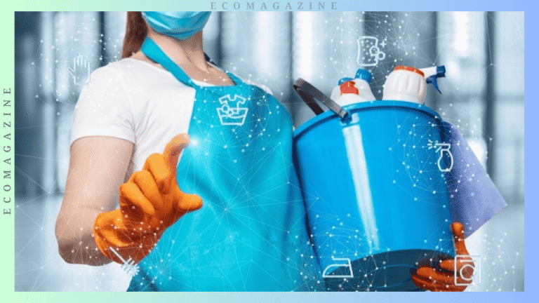 Cleaning Franchises
