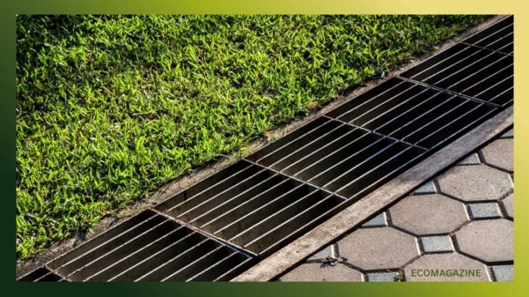 Sustainable Drainage