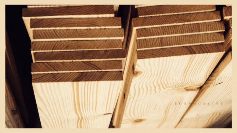 High-Quality Cedar Cladding