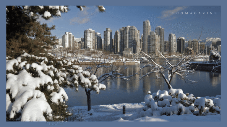 Snow Removal White Rock