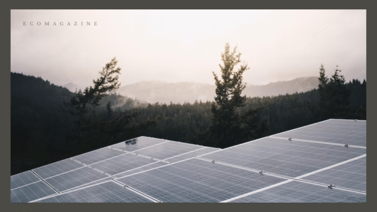 Solar PV in UK