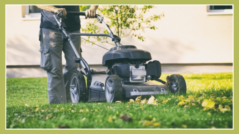 Seasonal Swaps: Preparing Your Lawn Mower and Garden for Autumn Sustainably Seasonal Swaps