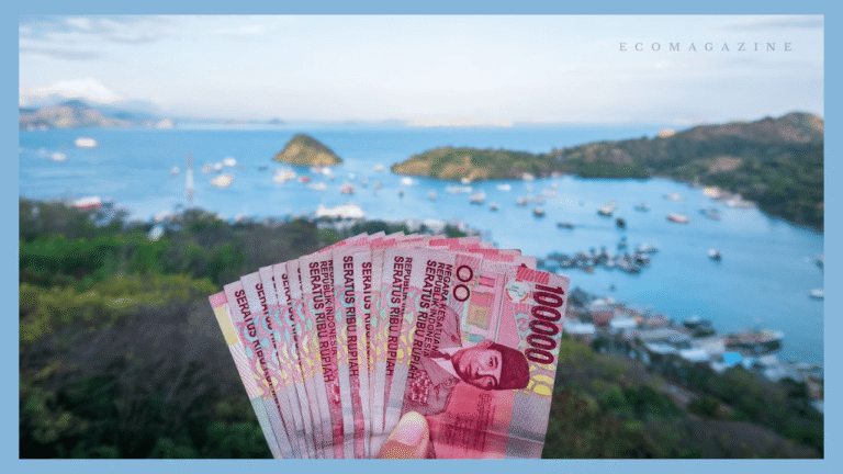 Indonesian Rupiah in 2025