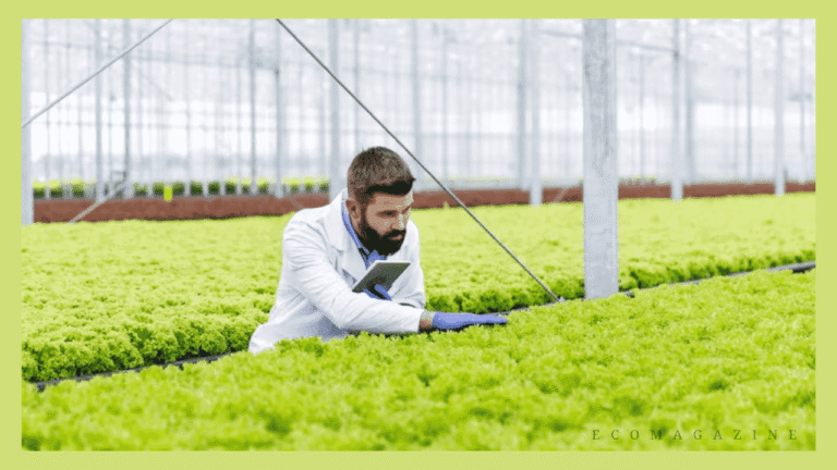 Impact of IoT in Agriculture