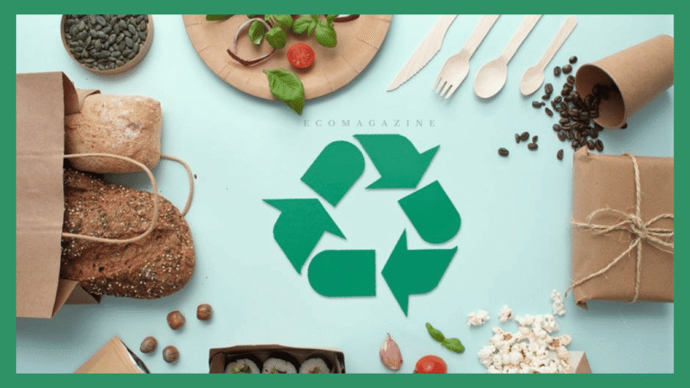 Packaging for Modern Cuisine