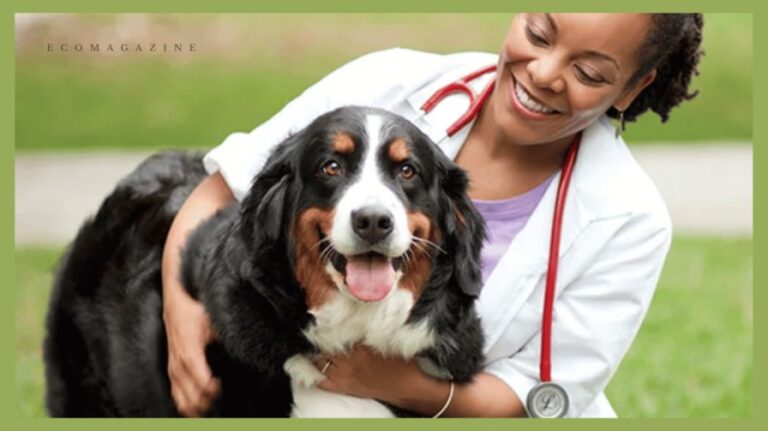 Redefining Animal Welfare