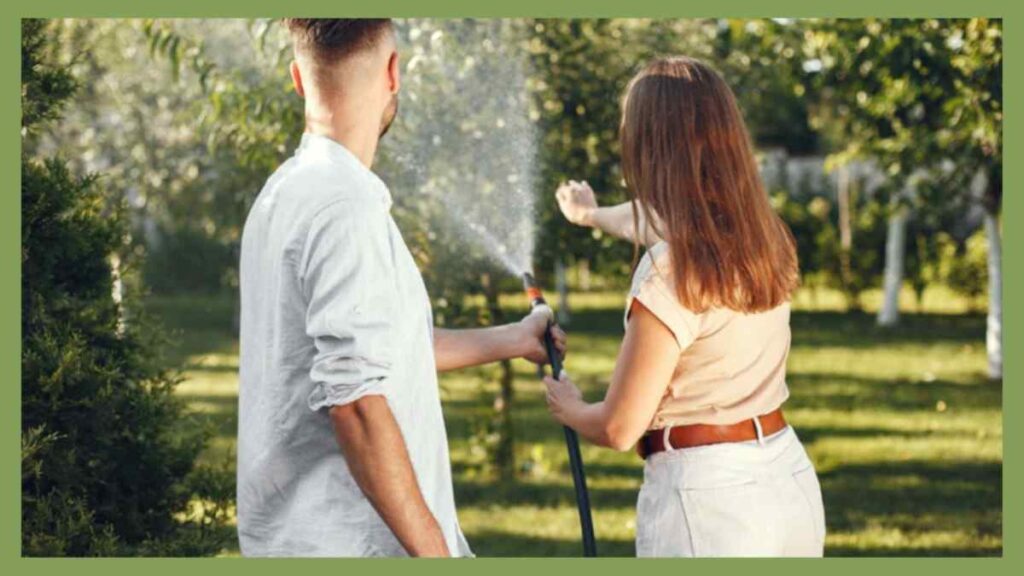 Enhancing Lawn Density with Aeration and Overseeding