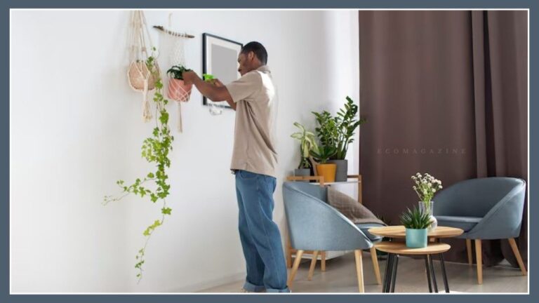 home decoration is changing