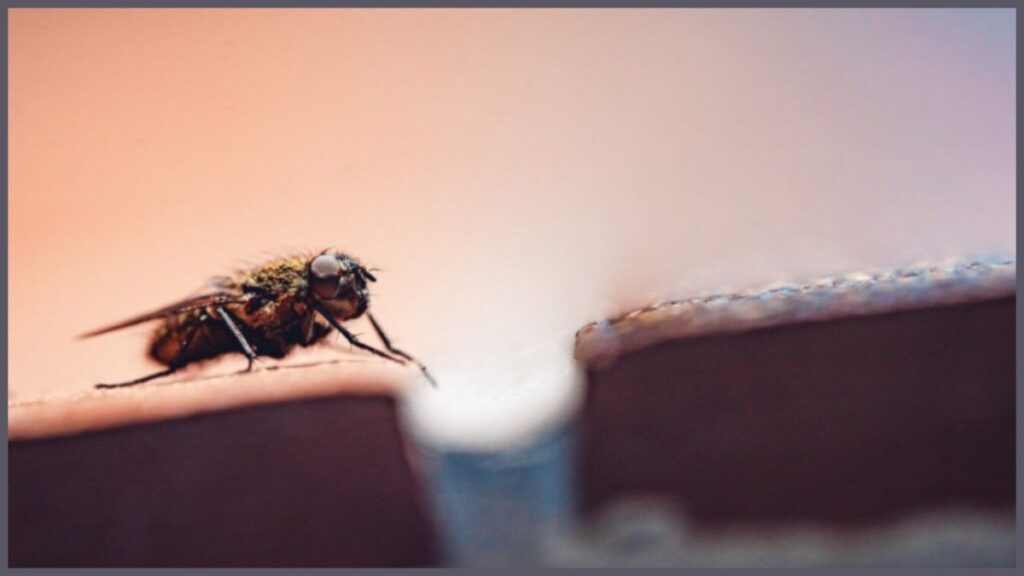 Season-Based Defense Reduces Recurring Risks