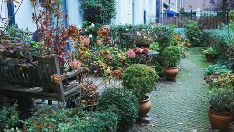 Garden Ideas for Modern Homes