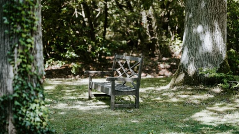 Greener by Design: The Surprisingly Strong Environmental Case for a Wooden Garden Shed Wooden Garden Shed