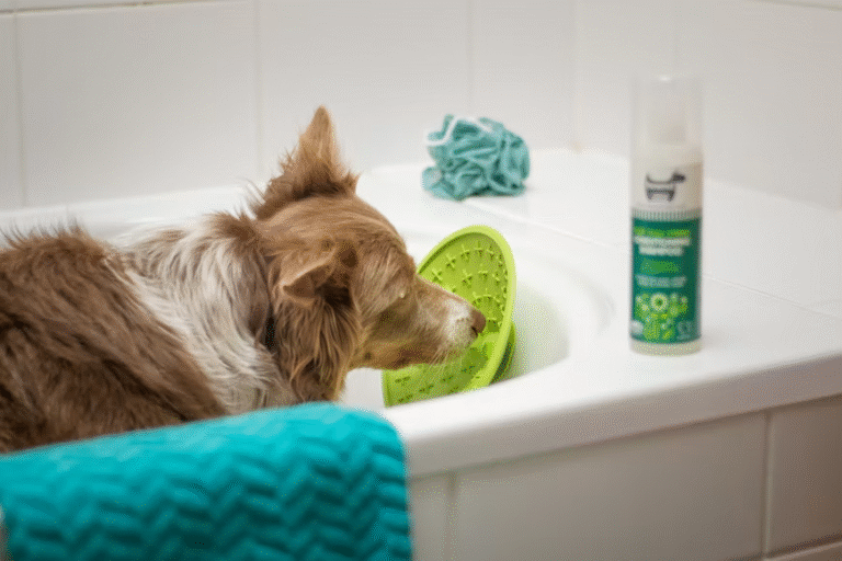 How to Compare Dog Shampoos Before You Buy: Ingredients, Price, and Reviews